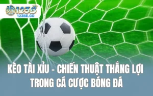 Kèo Tài Xỉu - Chiến Thuật Thắng Lợi Trong Cá Cược Bóng Đá
